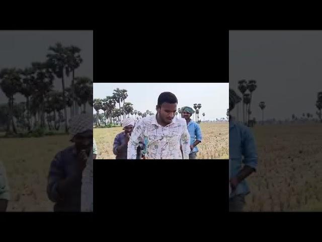 SYSTEM of RICE INTENSIFICATION (SRI) Method in SOON .