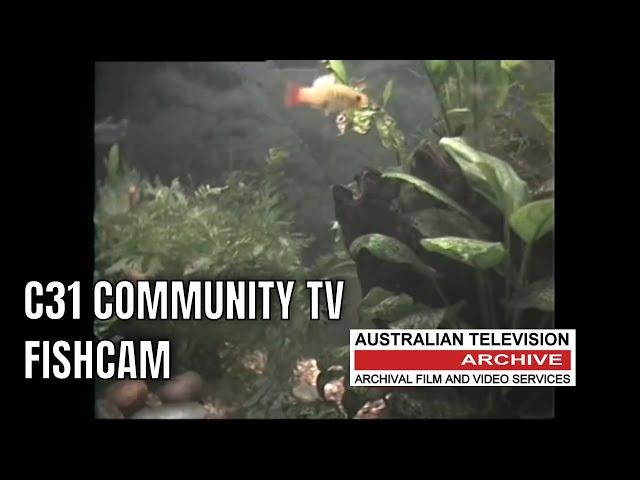 Melbourne's 'Fishcam' on Channel 31 Community Television - Can You Believe This Existed?