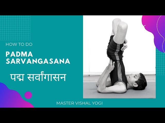 How to do Padma Sarvangasana ( पद्म सर्वांग आसन ) Master Vishal Yoga