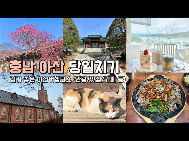 당일치기 국내여행 : 걷기 좋은 아산 여행코스! 충남가볼만한곳 (가족나들이/아산맛집/아산카페) #가족여행지추천