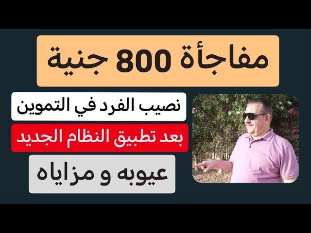 مفاجأة 800 جنية - نصيب الفرد في التموين بعد تطبيق النظام الجديد - عيوبه و مزاياه