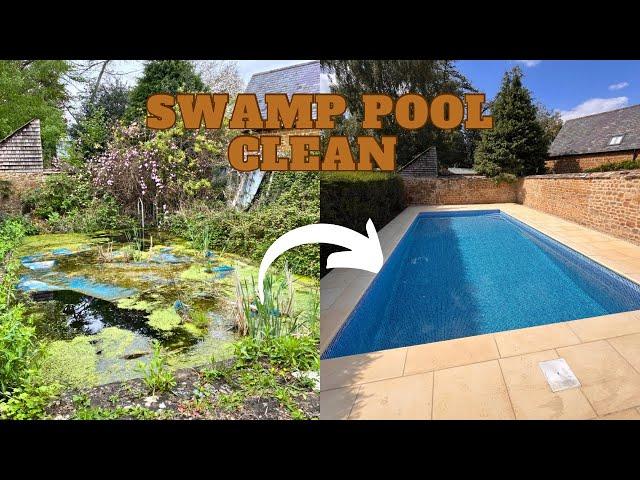 FULL TRANSFORMATION OF THE SWAMP POOL