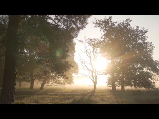Richard Luke - Silent Story (Richard Luke Rework)
