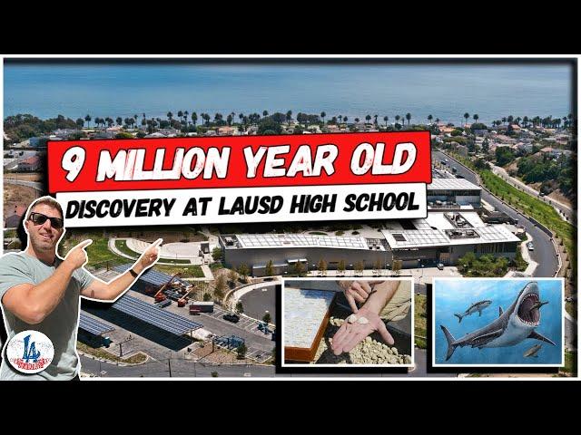 9 MILLION YEAR OLD Discovery at LAUSD High School!!