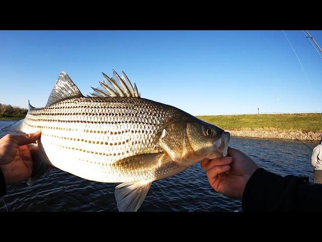 Wipers Were Stacked at the Dam