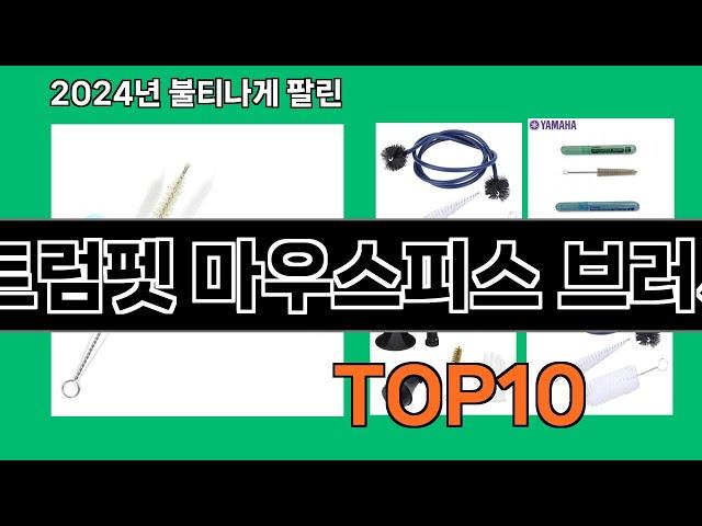 트럼펫 마우스피스 브러시 2024 최강 쿠팡로켓배송 추천 Top 5