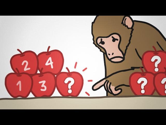 Why Monkeys Can Only Count To Four