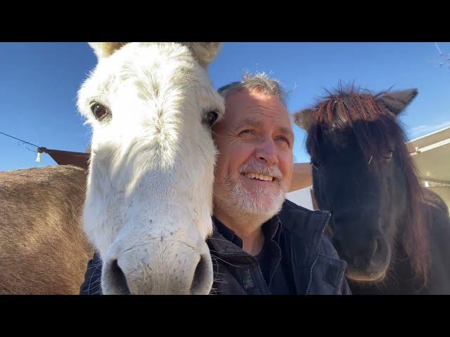 Never work with Donkeys *OUTTAKES*