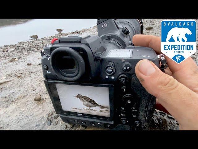 BIRD PHOTOGRAPHY | NIKON Z9 on Svalbard - Ep.4