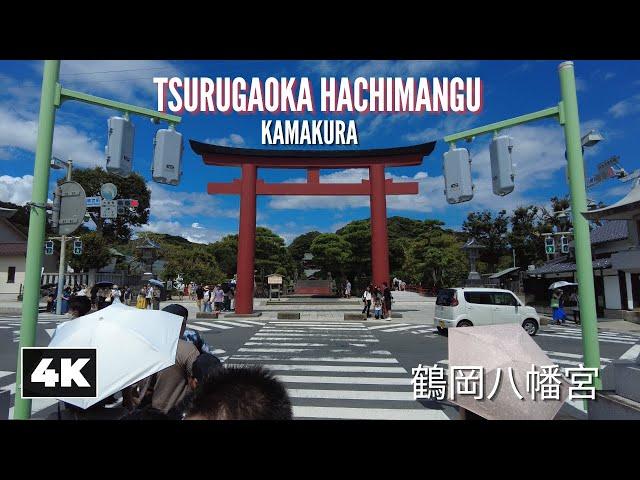 Exploring Tsurugaoka Hachimangu Shrine ️ || Kamakura, Kanagawa [4K] Ambient Walk