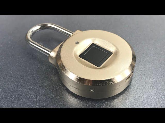 [699] Uervoton Fingerprint Padlock Opened With a Screwdriver!!!