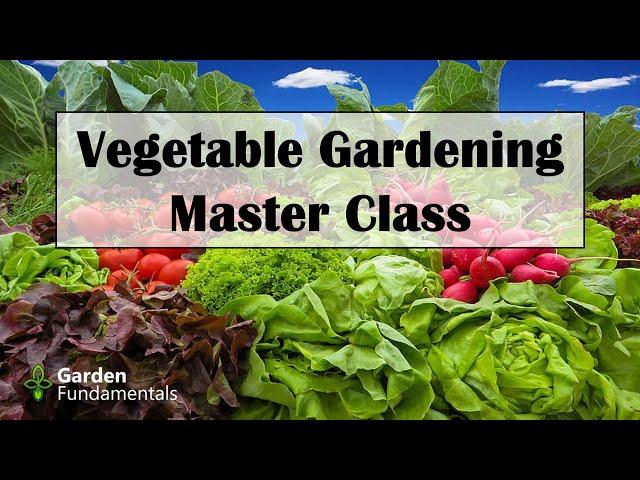 Vegetable Gardening Master Class - FREE 12 part course