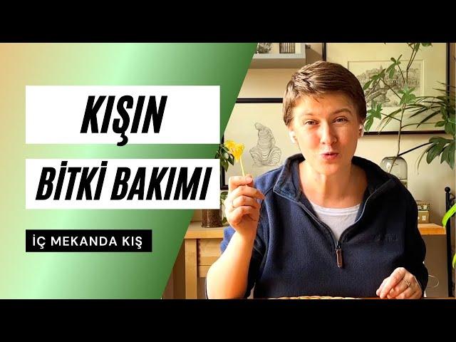 Kışın Bitki Bakımının Püf Noktaları | İç Mekan Kış Bitki Bakımı