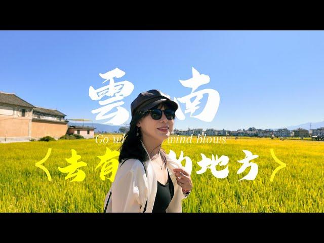 雲南Vlog: 我去了大理古城、喜洲古城、巍山古城，有風的地方原來風格差這麼多