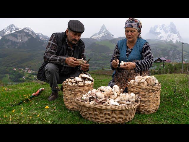 From the Mountain ️ to the Table ️: Mushroom  Season in the Mountains of Shahdag