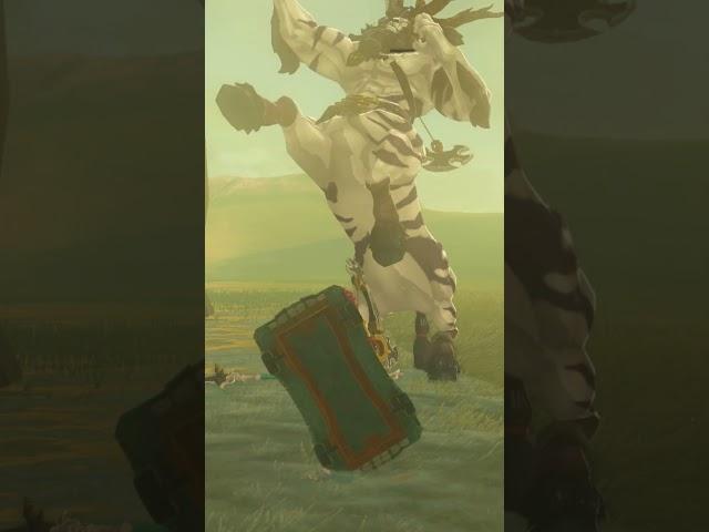 Eh, Lynels STILL Aren't Too Tough (Tears of the Kingdom)!