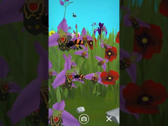 A Co-evolution Love Story - Explore Pollination - Cell to Singularity
