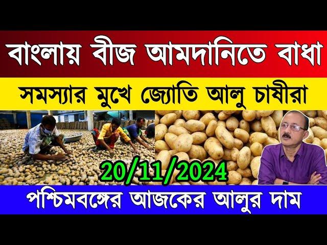 আজকের আলুর দাম /West Bengal potato market price today/India potato market rate/Up potato market