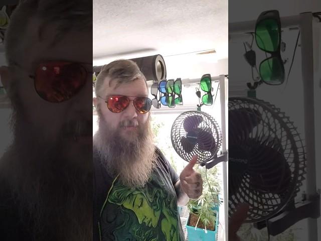 Man these fans are awesome   from #marshydro use code CANNABEARD