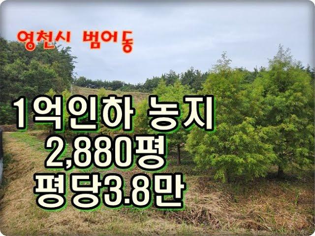 (영천착한부동산)NO.892/영천시내 농지 2,880평/평당3.8만 1억1천만원