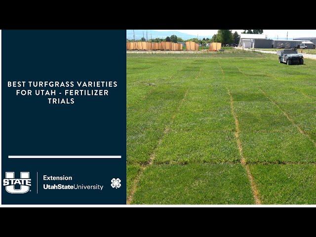 Best Turfgrass Varieties for Utah - fertilizer trials