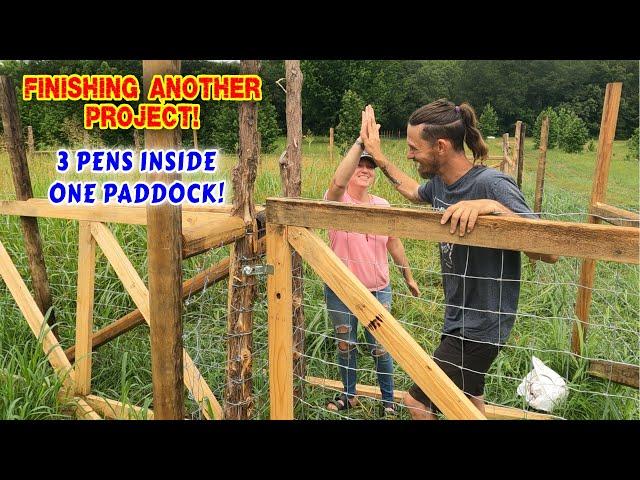 MOVING THE KIDS... FINALLY FINISHED PADDOCK 2!  | work, couple, tiny house, homesteading, off-grid |
