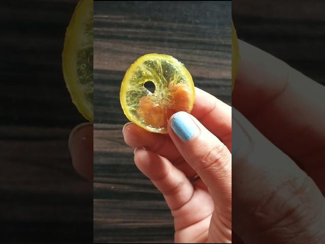 Candied Lemon and Orange Slice #candy #lemon #orange #shortvideo