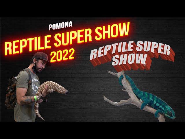 Reptile Super Show | Pomona