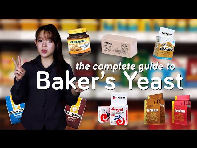 Understand Your Baker's Yeast | Fresh Yeast, Active Dry Yeast, Instant Yeast etc.