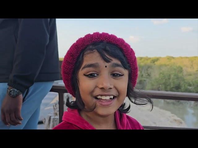 Jubail Mangrove, Abu Dhabi – a young explorer's journey through nature's paradise!"