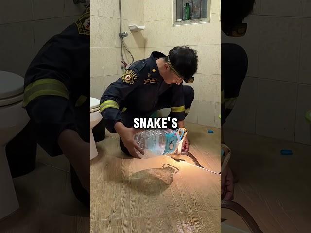 This firefighter is a snake charmer ️ #shorts