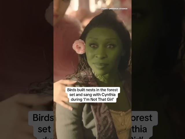 Shocking Wicked Behind The Scenes Facts