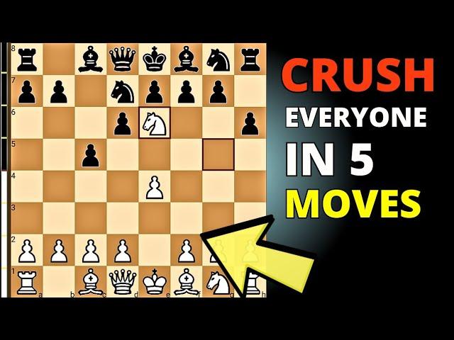  Beat Everyone in 5 Moves with a Knight Sac + More Traps