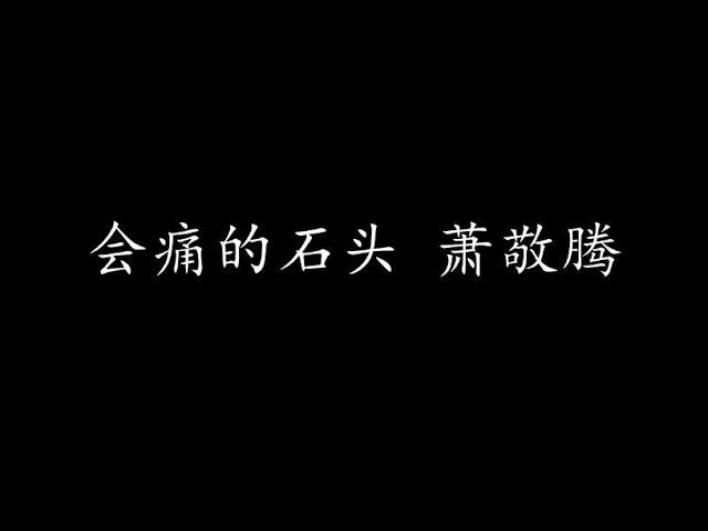 会痛的石头 萧敬腾 (歌词版)