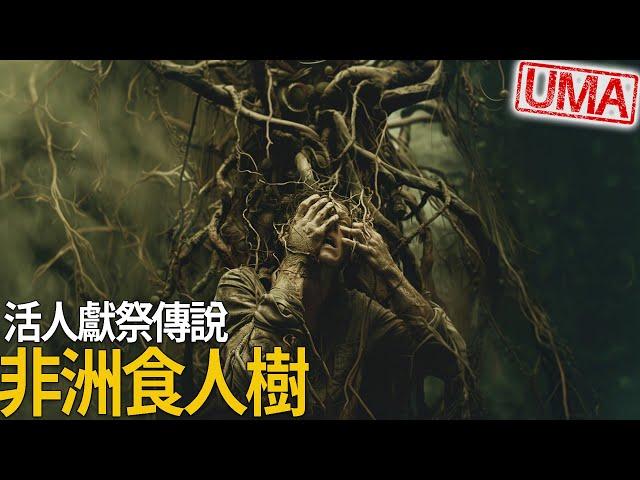 非洲馬達加斯加食人樹 - 部落活人獻祭數千年，其他世界各地的食人植物傳說頻傳，違反已知生物形式的生命存在?