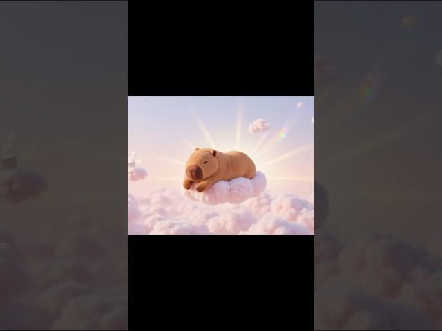 This is the scene of my dreams.#capybara #heal #sleep #cute #funny #dream #scenes