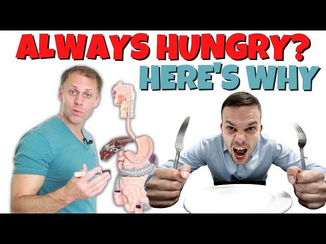 6 Reasons You’re Always Hungry