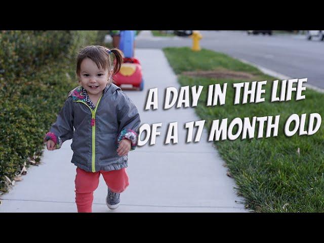 A Day in the Life of a 17 Month Old | Little Helper, Activities, Puzzles, Personality