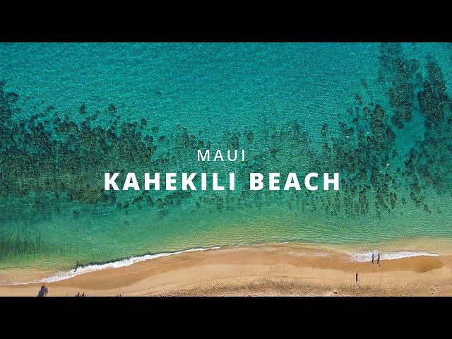 Magical Day at Kahekili Beach, Maui | Morning Drone Views & Snorkeling with Turtles & Dolphins (4K)