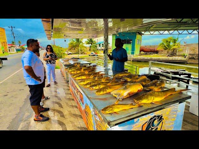 LARGEST GILBAKA VENDOR (STAND) IN GUYANA