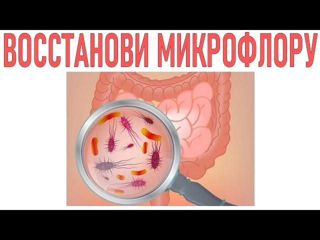 КАК ВОССТАНОВИТЬ МИКРОФЛОРУ КИШЕЧНИКА | Лучшие пробиотики для кишечника