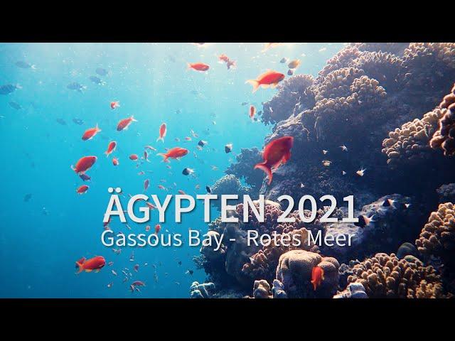 Ägypten 2021: Gassous Bay - Rotes Meer // Egypt 2021: Gassous Bay - Red Sea (4K)