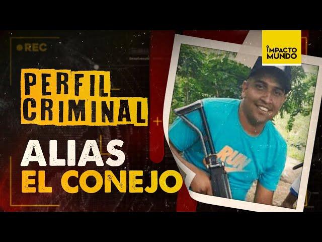 ALIAS EL CONEJO ¡aliado del KOKI! PERFIL CRIMINAL I Impacto Mundo