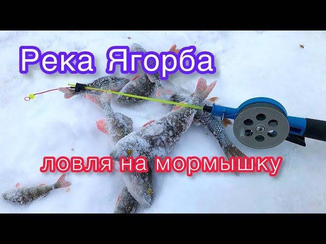 Ловля на мормышку река Ягорба Зимняя рыбалка 