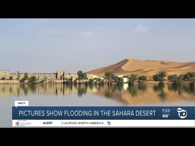 Fact or Fiction: Is a photo of flooding in the Sahara Desert real?