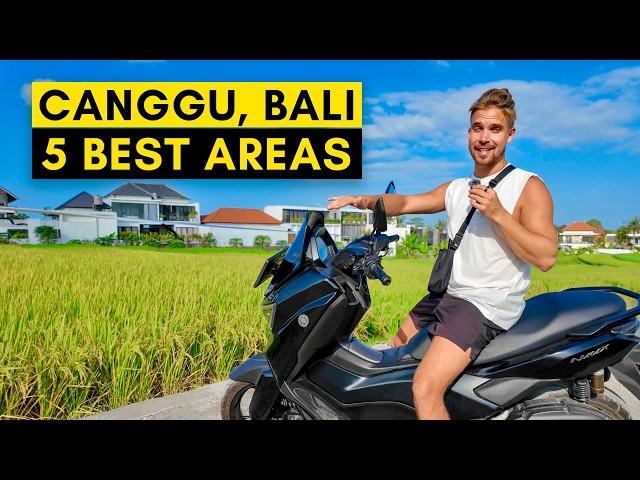 CANGGU, BALI - Where to Stay in 2024 (full guide)