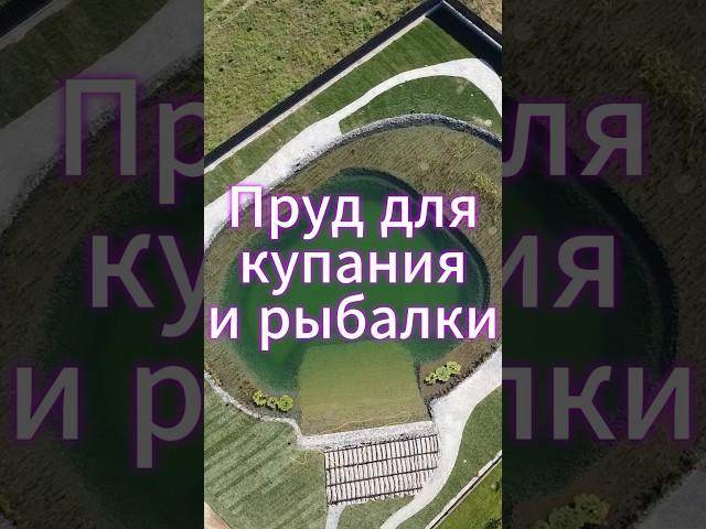 Построили ОГРОМНЫЙ ПРУД 900М2 для купания и рыбалки. #пруд #прудподключ
