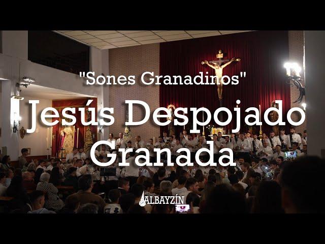 EN DIRECTO: Banda CCyTT Jesús Despojado - Sones Granadinos - Granada 2024