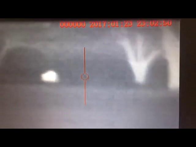 Thermal Pig Hunt Pulsar Apex