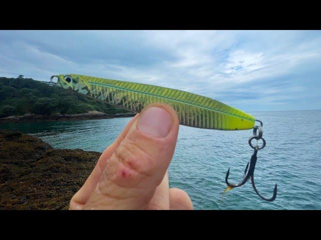 IRRESISTIBLE Summer Fishing LURE - Every FISH EATS this Fishing LURE - A Trip Down MEMORY LANE